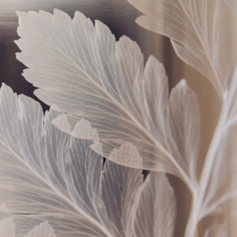 Plante immergée fougère cuir blanche h21