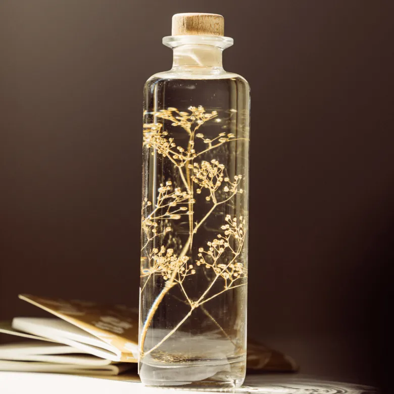 Plante immergée gypsophile or h21