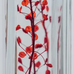 Plante immergée lepidium rouge h17