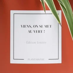 Plante à message