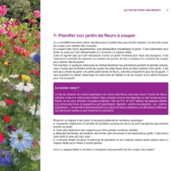 Plantez des fleurs à couper