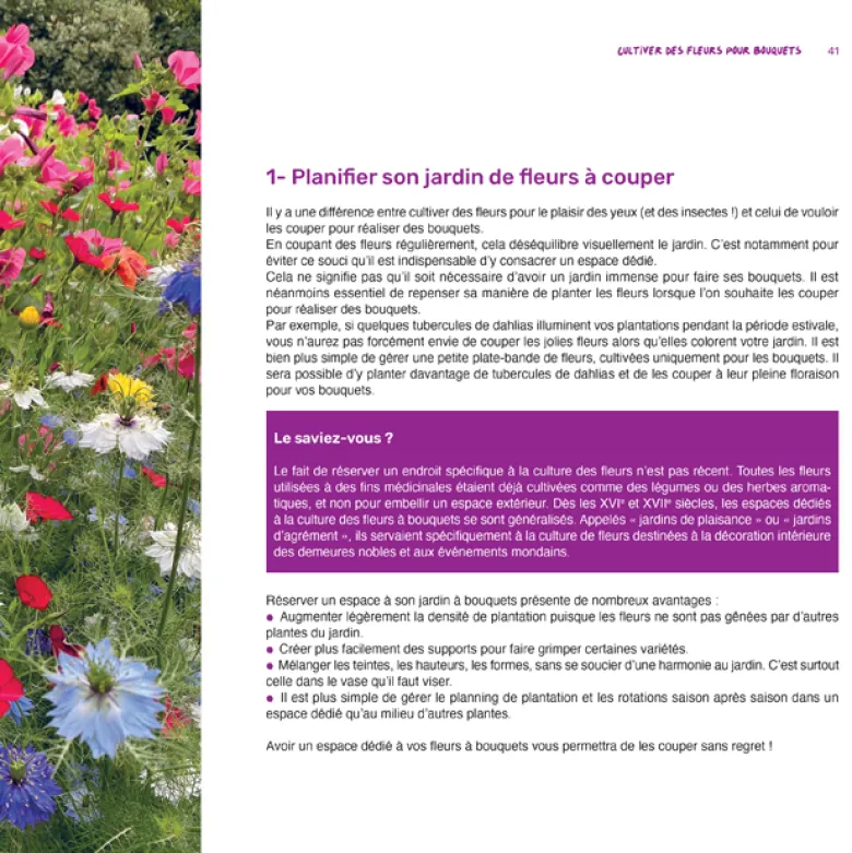 Plantez des fleurs à couper
