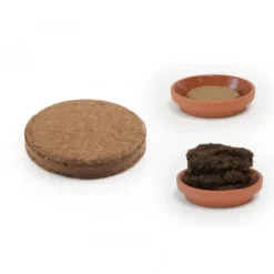 100 plaquettes terre de coco 3 cm