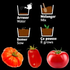 Plateau trio pots zinc - tomates bio