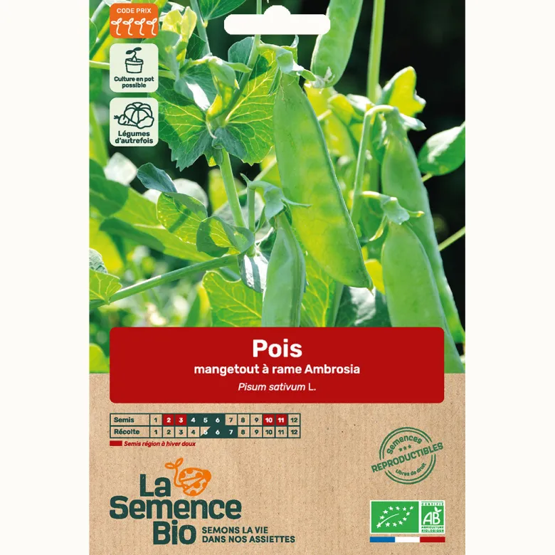 Pois mangetout demi-grimpant ambrosia