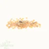 Poivron california wonder orange bio