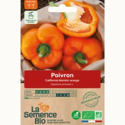 Poivron california wonder orange bio