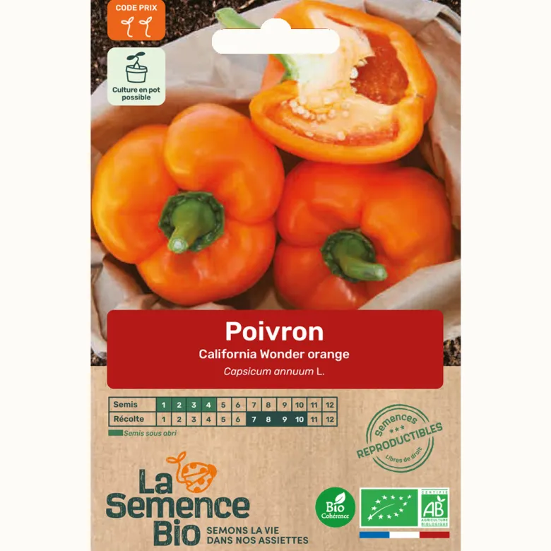Poivron california wonder orange bio