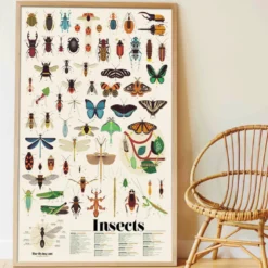 Poster géant 44 stickers insectes