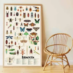 Poster stickers insectes