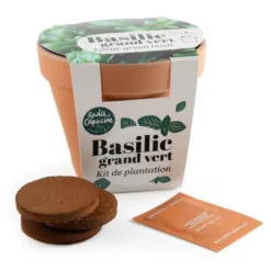 Pot terre cuite - basilic grand vert