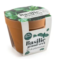 Pot terre cuite - basilic grand vert