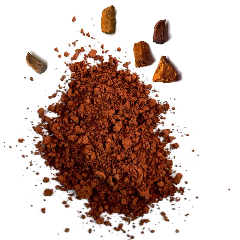 Poudre de chaga bio 50g