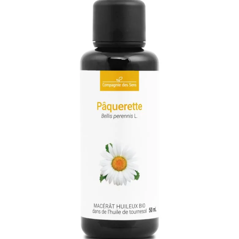 Pâquerette - macérât huileux bio 50ml