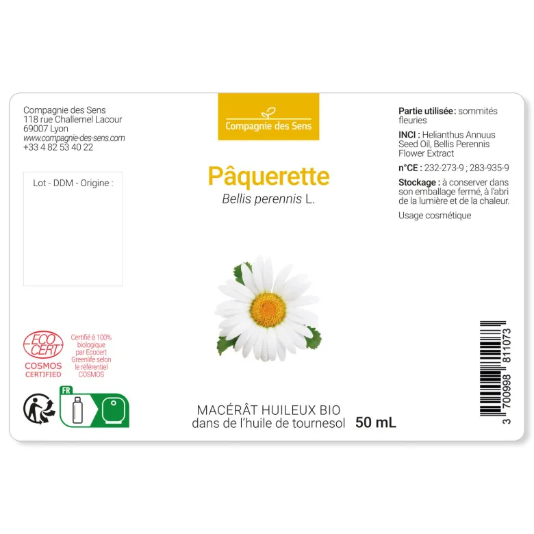 Pâquerette - macérât huileux bio 50ml