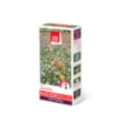 Prairies fleuries : prairie durable 30 m