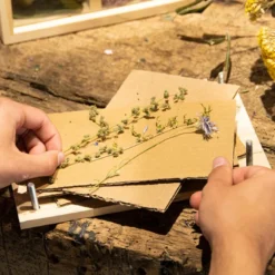 Presse fleurs et herbes
