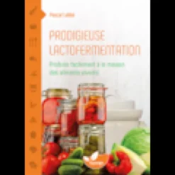 Prodigieuse lactofermentation