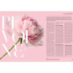 Promenons-nous au jardin : inventaire joyeux et curieux du monde végétal