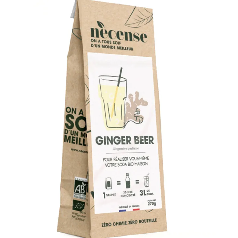 Préparation pour Ginger Beer maison