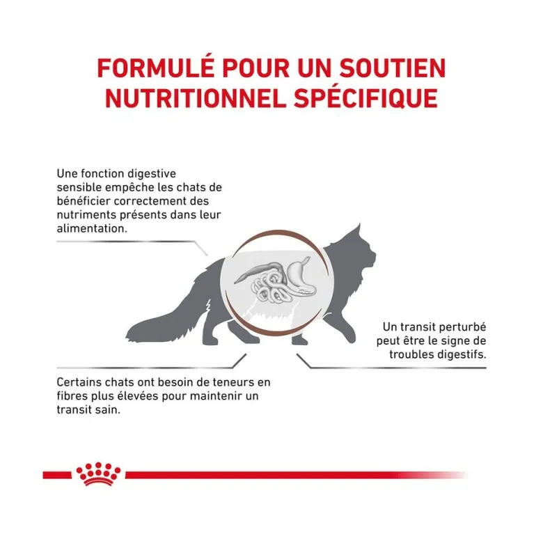 Pâtée Royal Canin Chat Gastrointestinal Fibre Response 12x85g