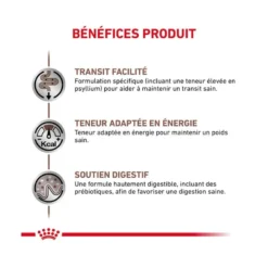 Pâtée Royal Canin Chat Gastrointestinal Fibre Response 12x85g