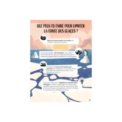 Puzzle glaces