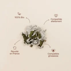 Ready mama - tisane framboisier