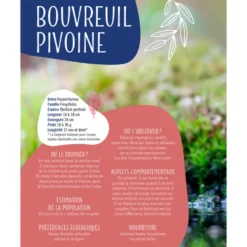 Reconnaître chants des oiseaux du jardin