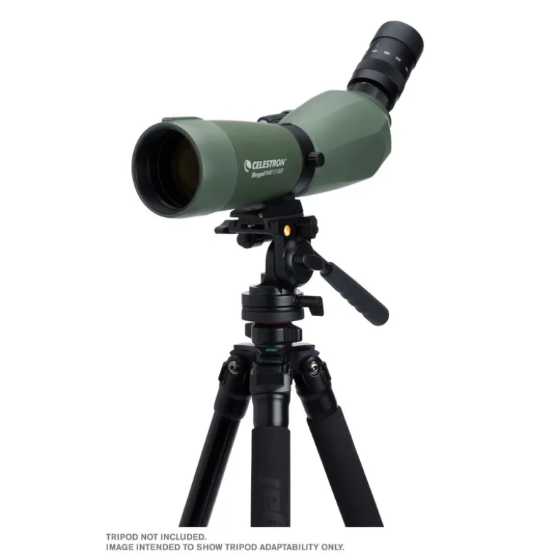 Regal m2 65ed