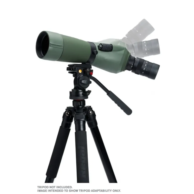 Regal m2 65ed