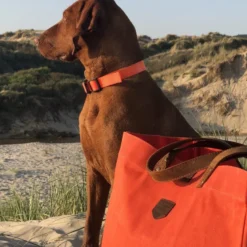 Sac cabas escapade orange