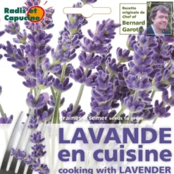 Sachet de graines de lavande comestible