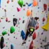Sac à magnésie t-rex – pour l’escalade