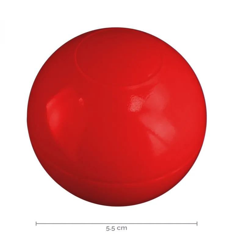 5 sacs de 100 balles - multicolore