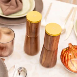 Salière et poivrière en bois