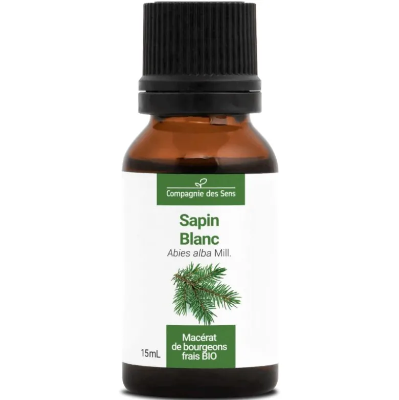 Sapin blanc macérat bourgeons bio 15ml 15