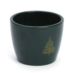 Sapin à faire pousser