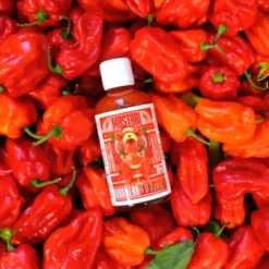 Sauce piquante habanera