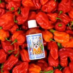 Sauce piquante pizza geniale