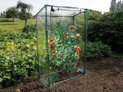 Serre à tomates 100 cm - nature