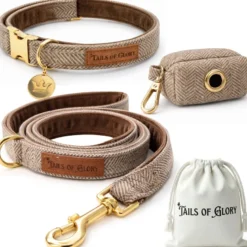 Set pour chien en tweed marron: collier réglable, laisse, porte-sacs taille m
