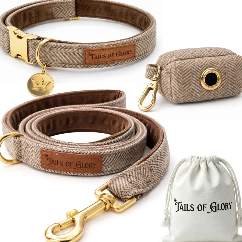 Set pour chien en tweed marron: collier réglable, laisse, porte-sacs taille m