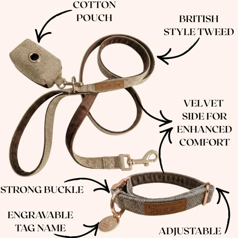 Set pour chien en tweed marron: collier réglable, laisse, porte-sacs taille m