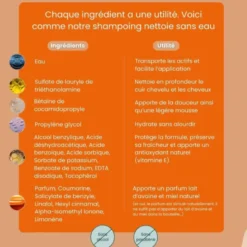 Shampooing sans rinçage balo 100 ml