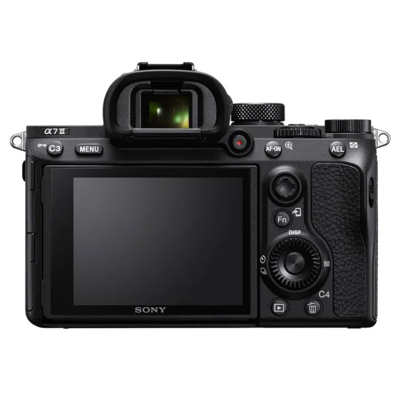 Sony alpha 7iii + tamron objectif 25-200mm f2.8-5.6 di iii vxd g2