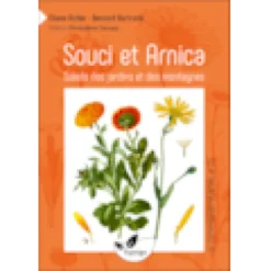 Souci arnica soleils jardins montagnes
