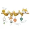 Spirale cyranos le renard