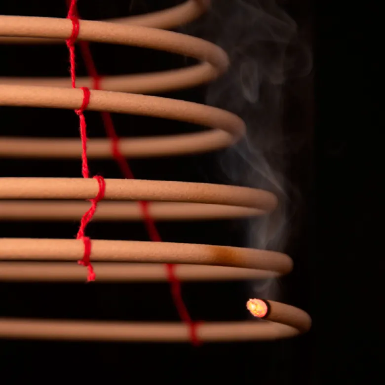 Spirale à la citronnelle