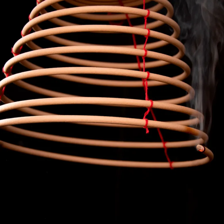 Spirale à la citronnelle